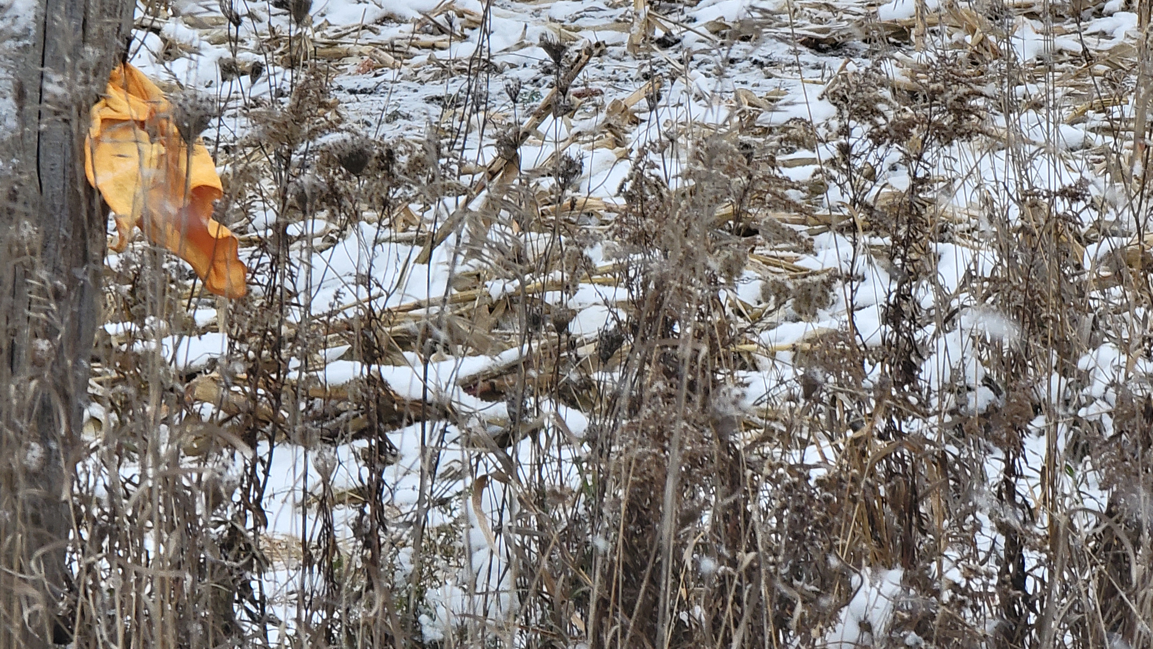 Vacant Land for Place of Worship preview 8